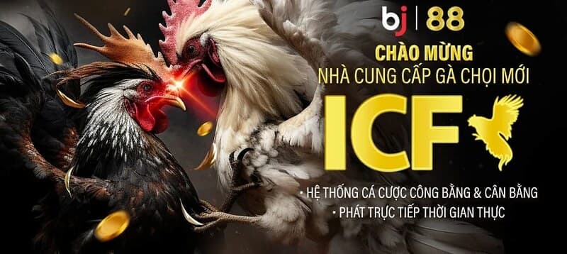Nhà cái cá cược sở hữu giao diện đẹp mắt và cuốn hút Bj88 2 Bj88-2